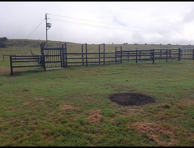 FARM FOR SALE IN MOSSEL BAY RURAL